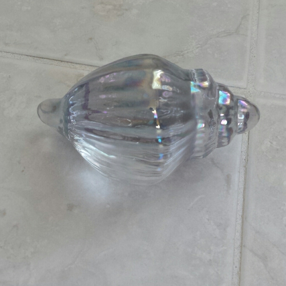 Iridescent Shell Decor - Picture 5 of 9